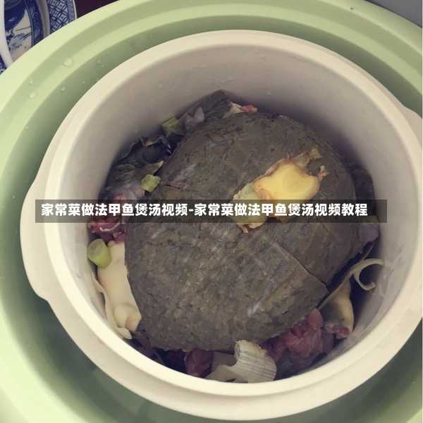 家常菜做法甲鱼煲汤视频-家常菜做法甲鱼煲汤视频教程